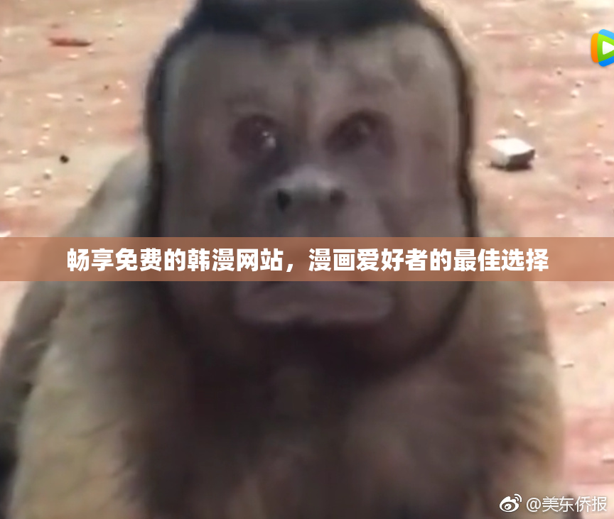 畅享免费的韩漫网站，漫画爱好者的最佳选择