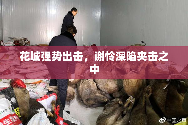 花城强势出击，谢怜深陷夹击之中
