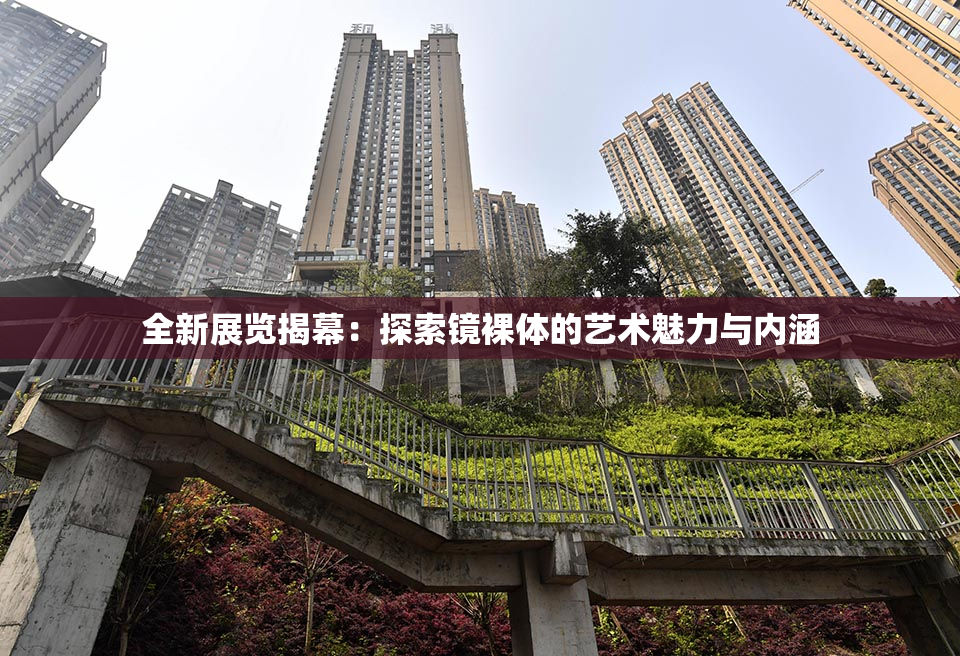 全新展览揭幕：探索镜裸体的艺术魅力与内涵