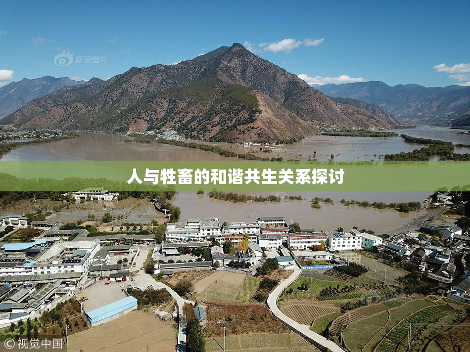 人与牲畜的和谐共生关系探讨