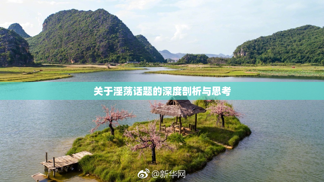 关于淫荡话题的深度剖析与思考