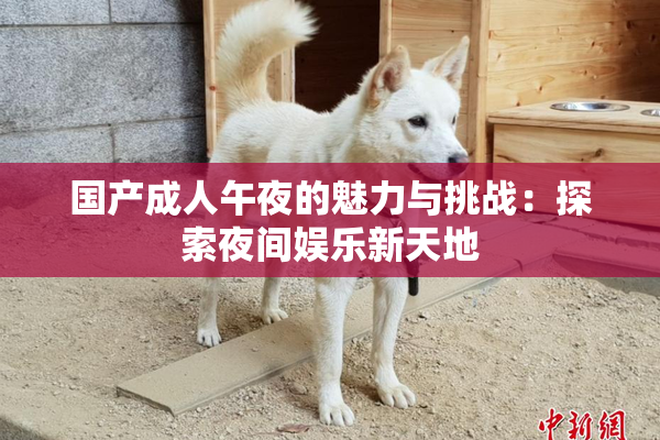 国产成人午夜的魅力与挑战：探索夜间娱乐新天地
