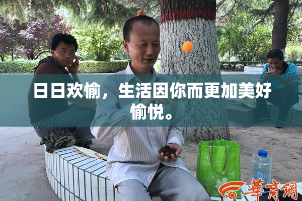 日日欢愉，生活因你而更加美好愉悦。