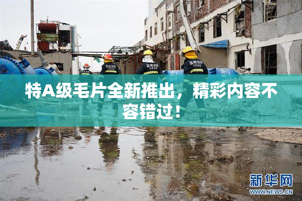 特A级毛片全新推出，精彩内容不容错过！