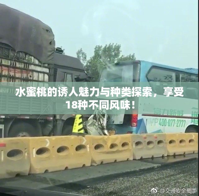 水蜜桃的诱人魅力与种类探索，享受18种不同风味！