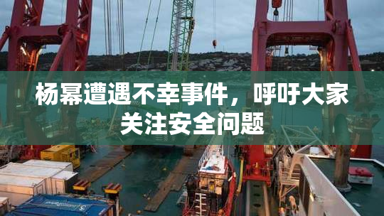 杨幂遭遇不幸事件，呼吁大家关注安全问题
