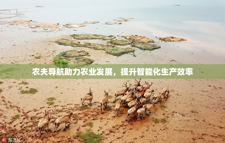农夫导航助力农业发展，提升智能化生产效率