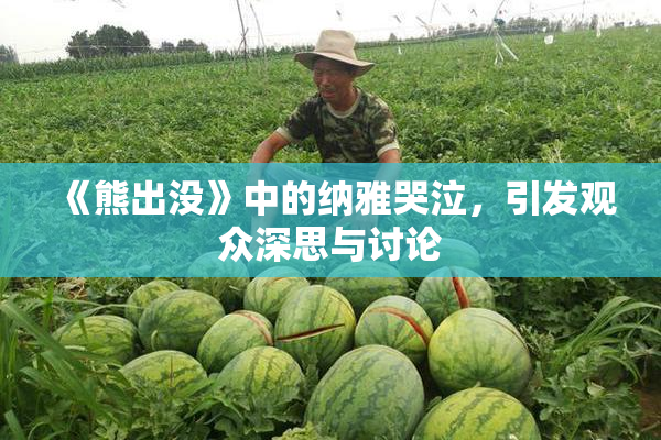 《熊出没》中的纳雅哭泣，引发观众深思与讨论