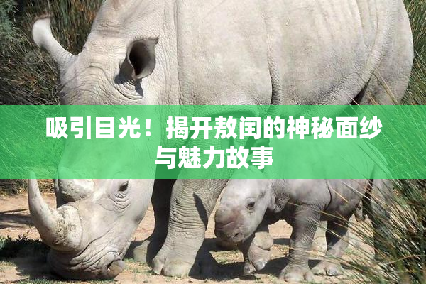 吸引目光！揭开敖闰的神秘面纱与魅力故事