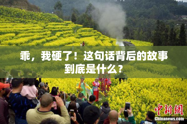 乖，我硬了！这句话背后的故事到底是什么？