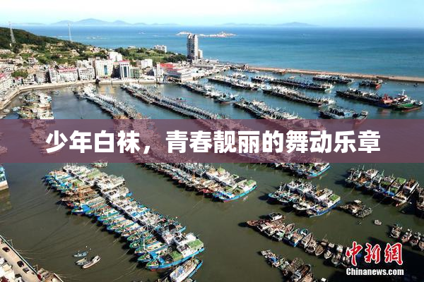 少年白袜，青春靓丽的舞动乐章