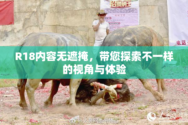 R18内容无遮掩，带您探索不一样的视角与体验