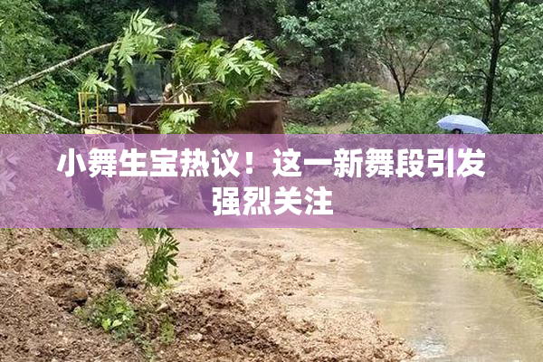 小舞生宝热议！这一新舞段引发强烈关注