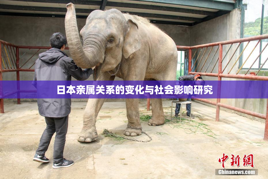日本亲属关系的变化与社会影响研究