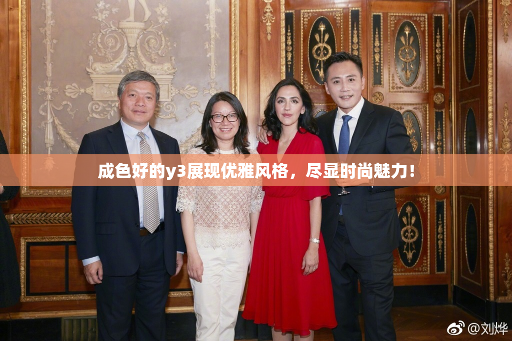 成色好的y3展现优雅风格，尽显时尚魅力！
