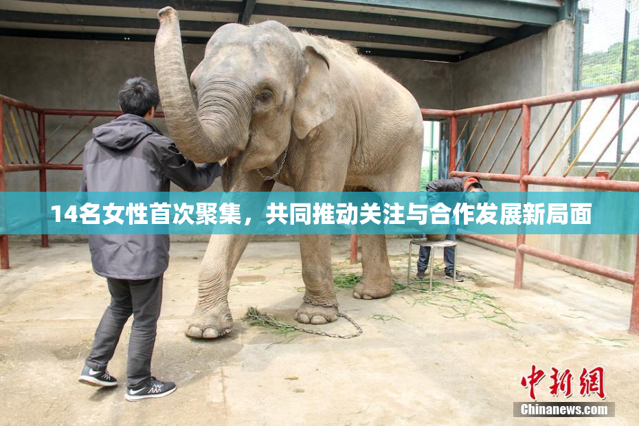 14名女性首次聚集，共同推动关注与合作发展新局面