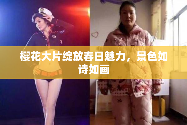 樱花大片绽放春日魅力，景色如诗如画