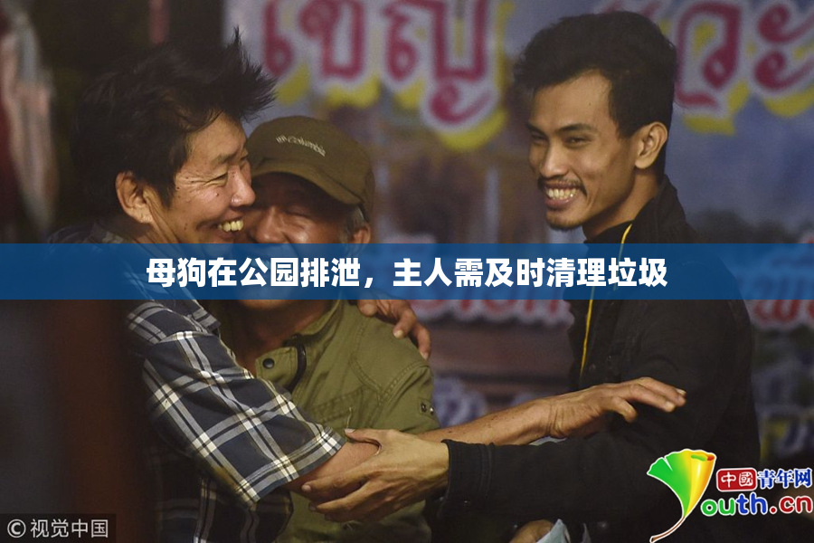 母狗在公园排泄，主人需及时清理垃圾