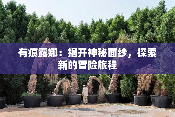 有痕露娜：揭开神秘面纱，探索新的冒险旅程