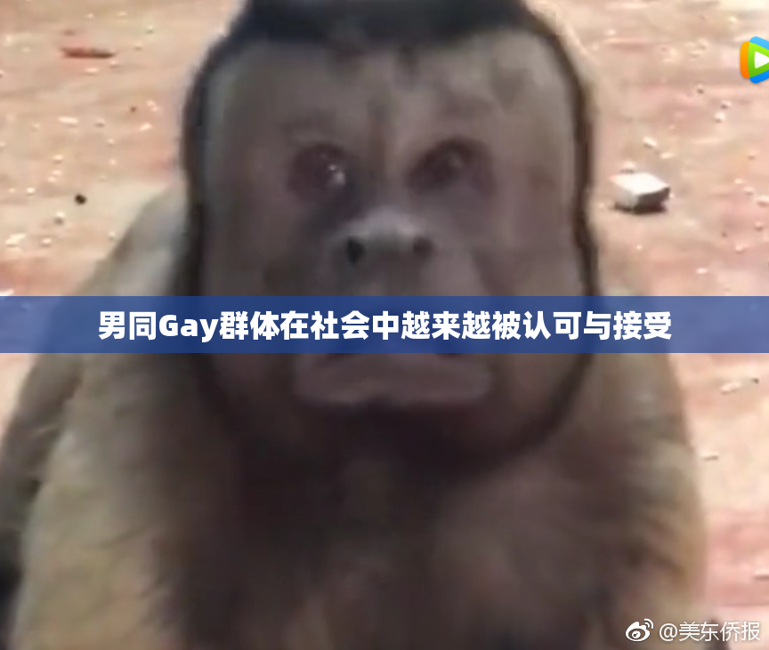 男同Gay群体在社会中越来越被认可与接受