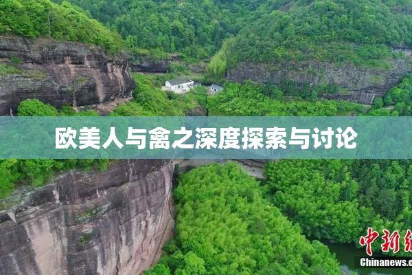 欧美人与禽之深度探索与讨论