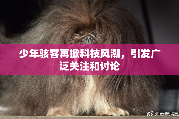 少年骇客再掀科技风潮，引发广泛关注和讨论