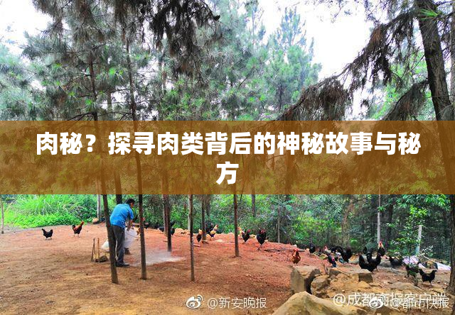 肉秘？探寻肉类背后的神秘故事与秘方
