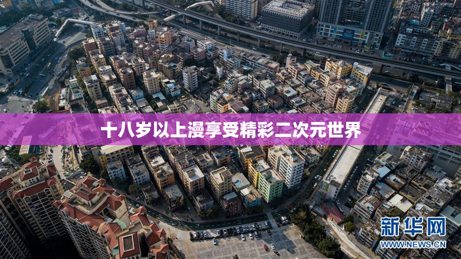 十八岁以上漫享受精彩二次元世界