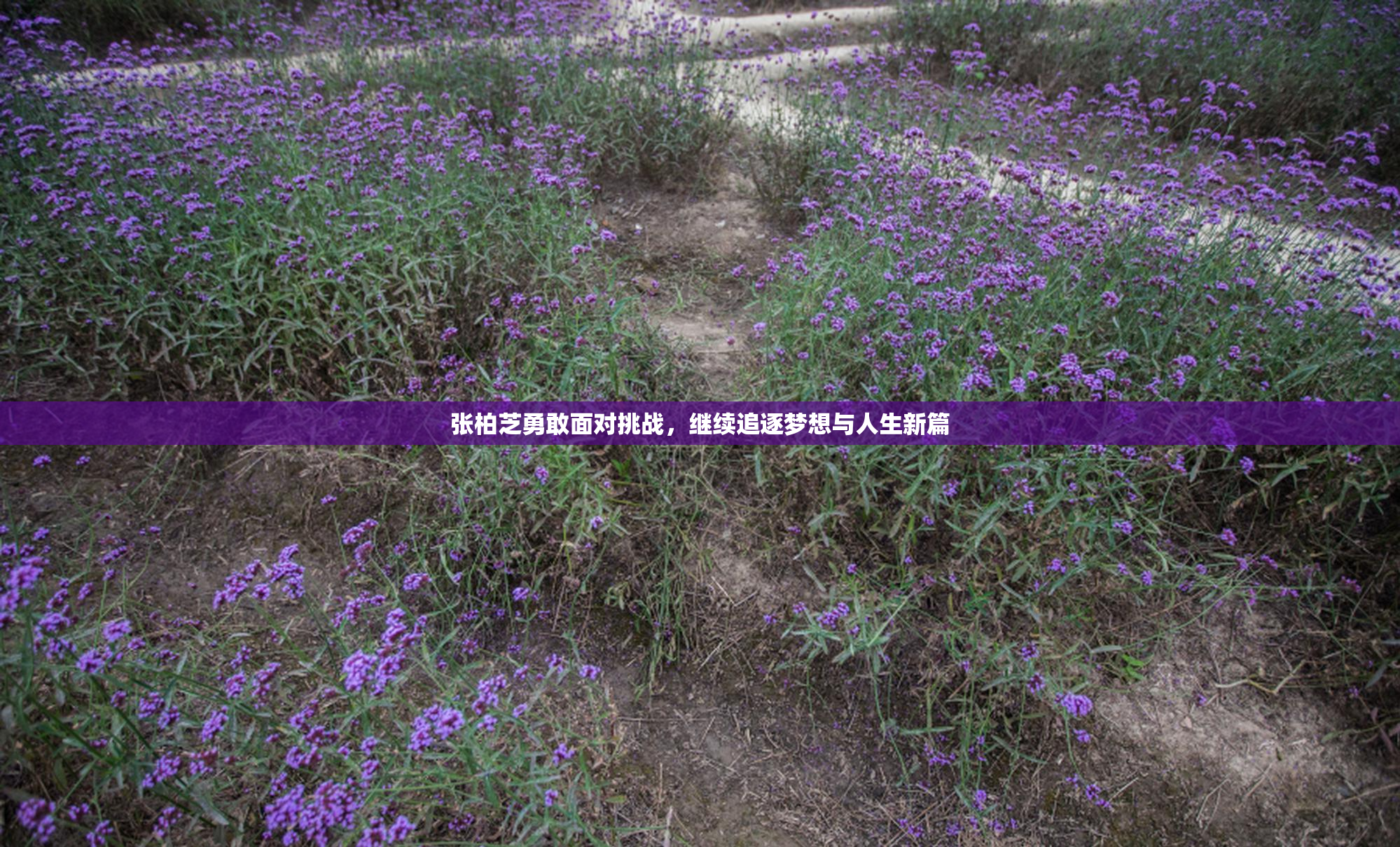 张柏芝勇敢面对挑战，继续追逐梦想与人生新篇