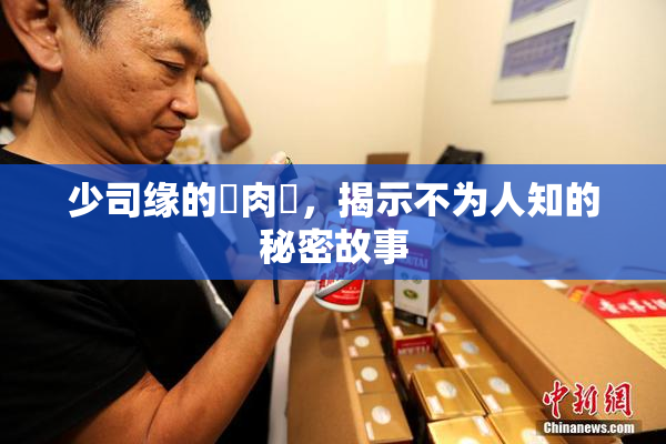 少司缘的婬肉泬，揭示不为人知的秘密故事