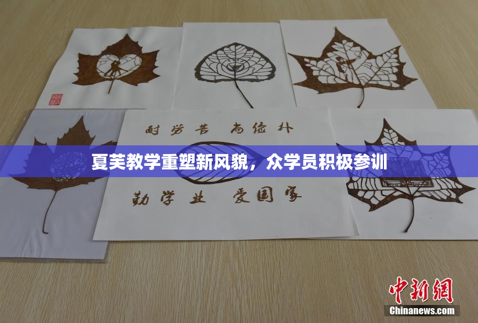 夏芙教学重塑新风貌，众学员积极参训