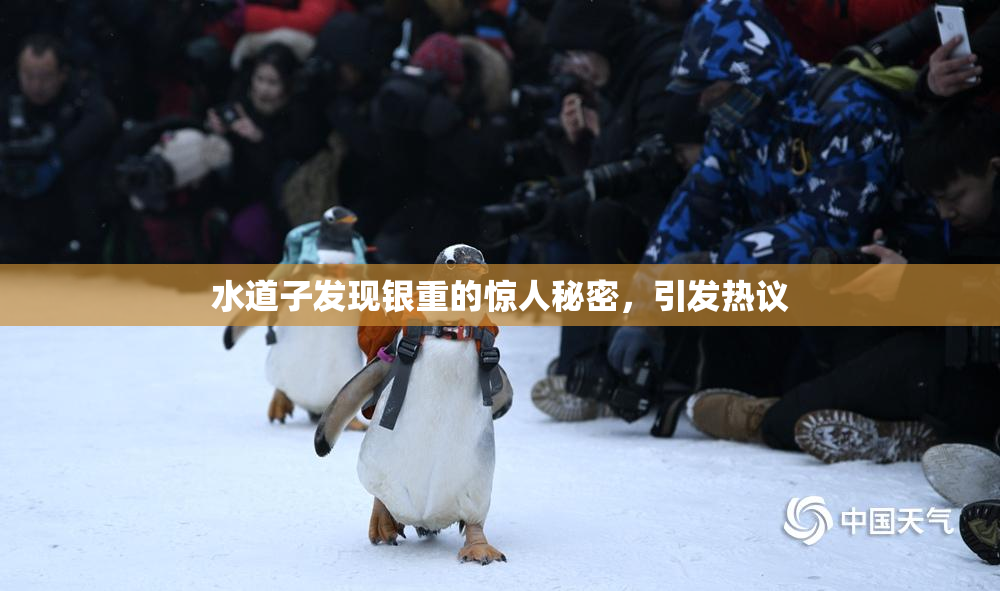 水道子发现银重的惊人秘密，引发热议