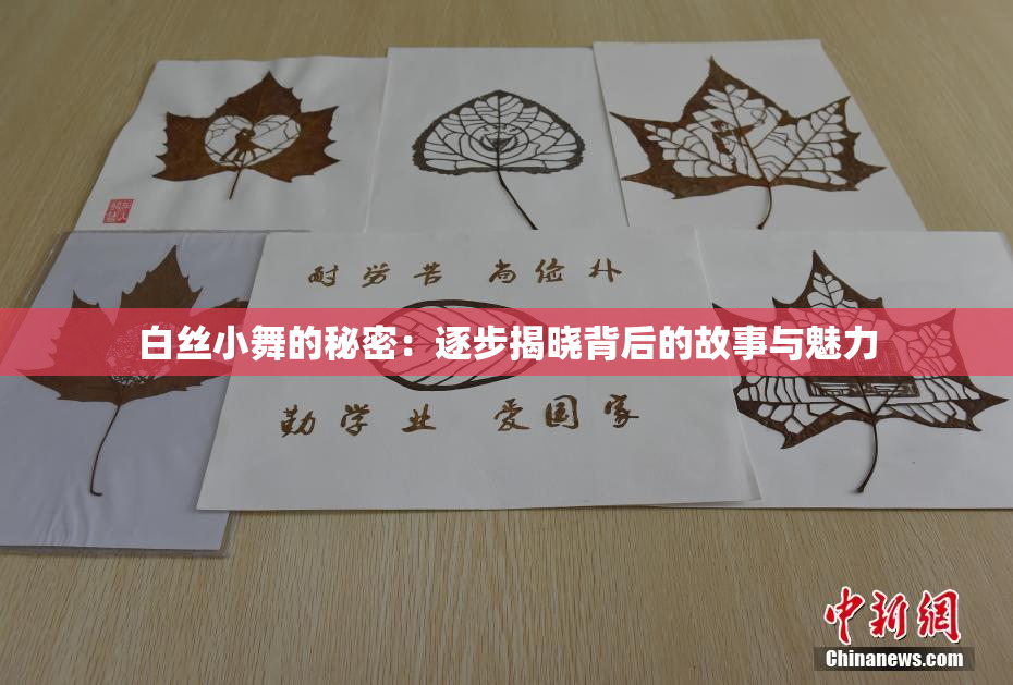 白丝小舞的秘密：逐步揭晓背后的故事与魅力