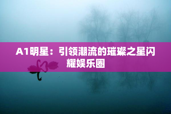 A1明星：引领潮流的璀璨之星闪耀娱乐圈