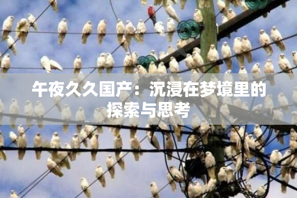 午夜久久国产：沉浸在梦境里的探索与思考