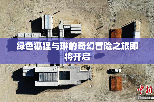 绿色狐狸与琳的奇幻冒险之旅即将开启