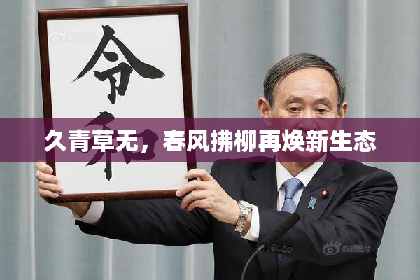 久青草无，春风拂柳再焕新生态
