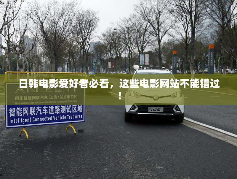 日韩电影爱好者必看，这些电影网站不能错过！