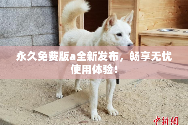 永久免费版a全新发布，畅享无忧使用体验！