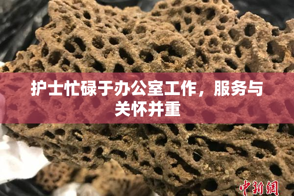 护士忙碌于办公室工作，服务与关怀并重