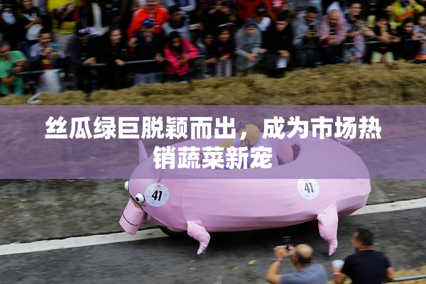 丝瓜绿巨脱颖而出，成为市场热销蔬菜新宠
