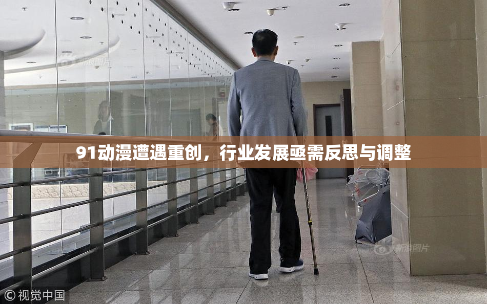 91动漫遭遇重创，行业发展亟需反思与调整