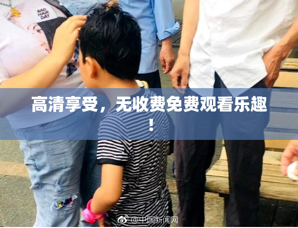 高清享受，无收费免费观看乐趣！