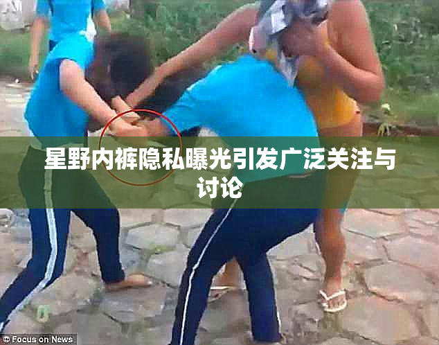 星野内裤隐私曝光引发广泛关注与讨论