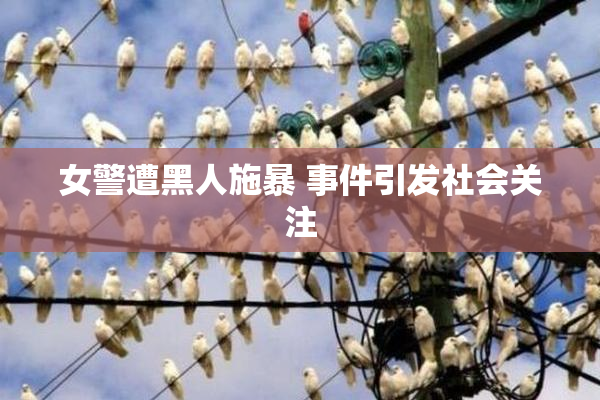 女警遭黑人施暴 事件引发社会关注