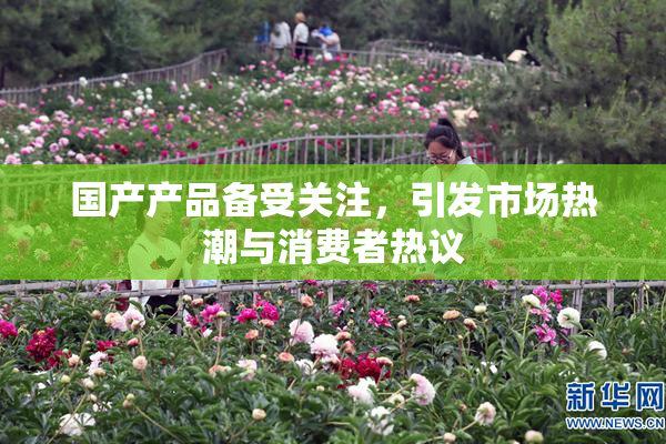国产产品备受关注，引发市场热潮与消费者热议