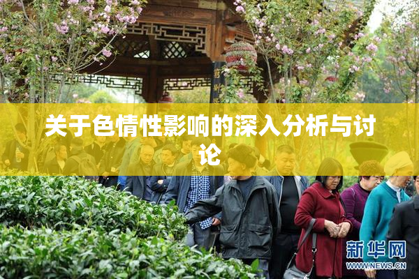 关于色情性影响的深入分析与讨论