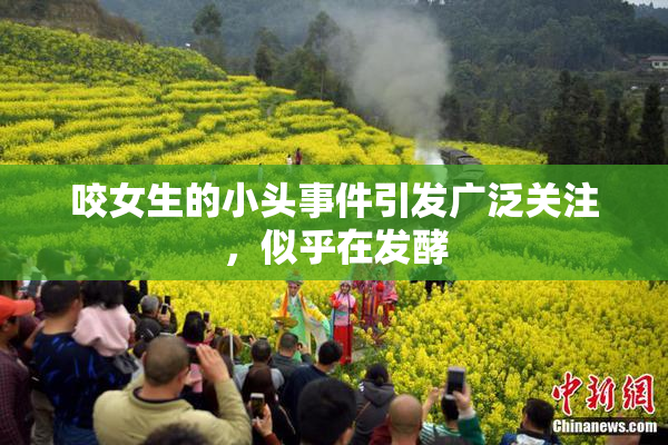咬女生的小头事件引发广泛关注，似乎在发酵