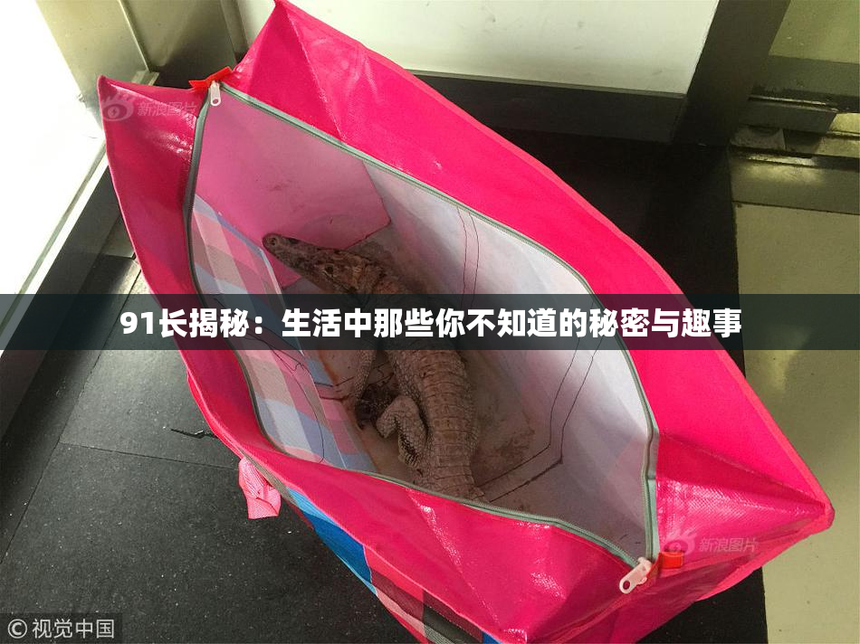 91长揭秘：生活中那些你不知道的秘密与趣事