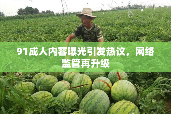91成人内容曝光引发热议，网络监管再升级